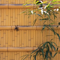 Windows 7 et Windows 8